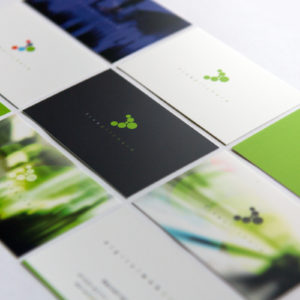Fivepilchard web design